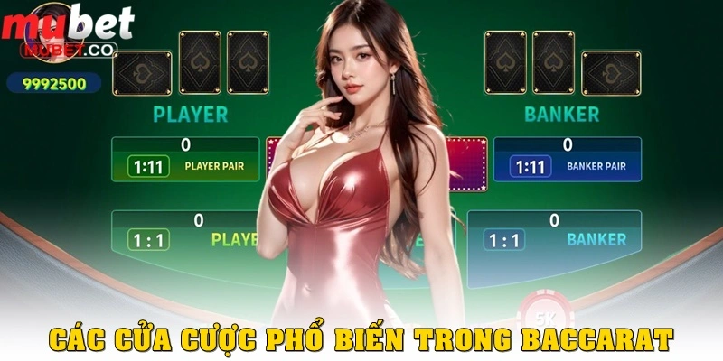 Baccarat là gì? Hướng dẫn chi tiết cho người mới ở Mubet 3 Các cửa cược phổ biến trong baccarat là gì?