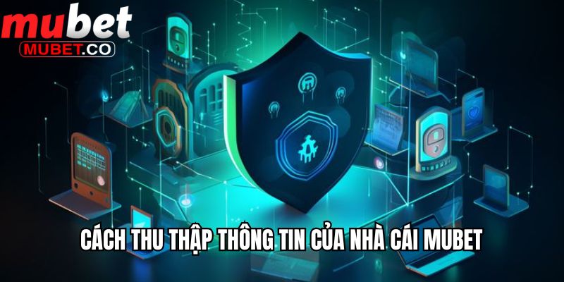 Chính Sách Bảo Mật Mubet Áp Dụng Cho Các Thành Viên 3 Cách thu thập thông tin của nhà cái Mubet