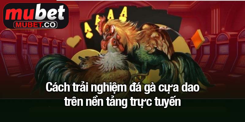 Đá gà cựa dao - Trận đấu kịch tính, cược thông minh 4 Cách trải nghiệm đá gà cựa dao trên nền tảng trực tuyến