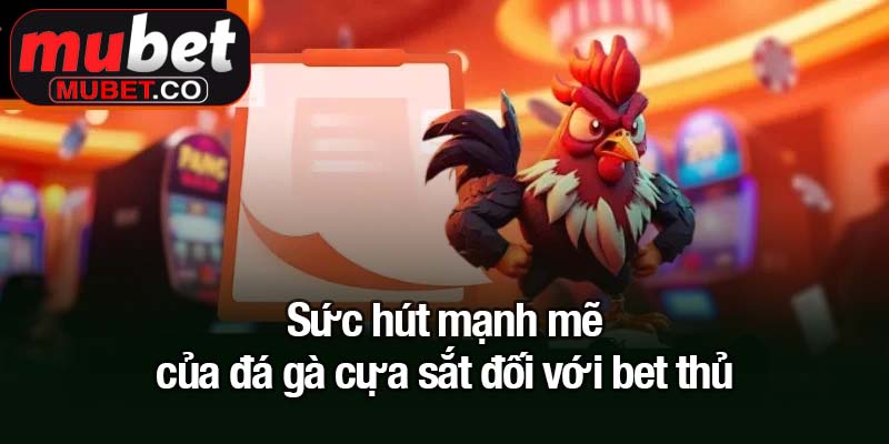 Đá gà cựa sắt - Trận đấu quyết liệt một mất một còn 3 Sức hút mạnh mẽ của đá gà cựa sắt đối với bet thủ